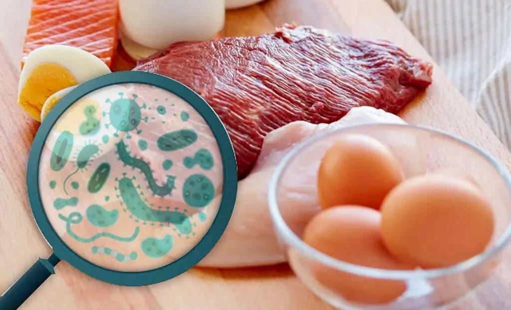 Yaz aylarında gizli tehlike: Salmonella